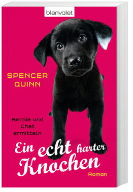 Ein echt harter Knochen Cover von: Ein echt harter Knochen