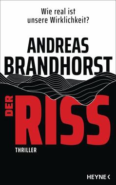 Der Riss Cover von: Der Riss