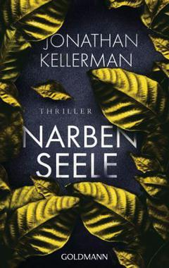 Narbenseele Cover von: Narbenseele