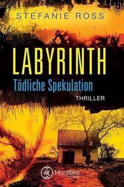 Labyrinth Cover von: Labyrinth
