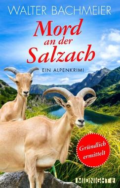 Cover von: Mord an der Salzach