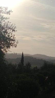 Pippo und Lele ermitteln in Siena