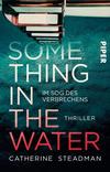 Cover von: Something in the Water