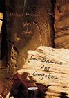 Cover von: Im Banne des Coyoten