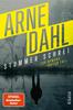 Cover von: Stummer Schrei