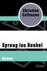 Cover von: Sprung ins Dunkel