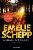 Cover von: Im Namen des Sohnes