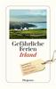Cover von: Gefährliche Ferien - Irland