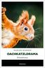 Cover von: Oachkatzldrama