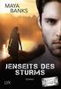 Cover von: Jenseits des Sturms