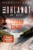 Cover von: Sturmlicht