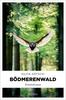 Cover von: Bödmerenwald